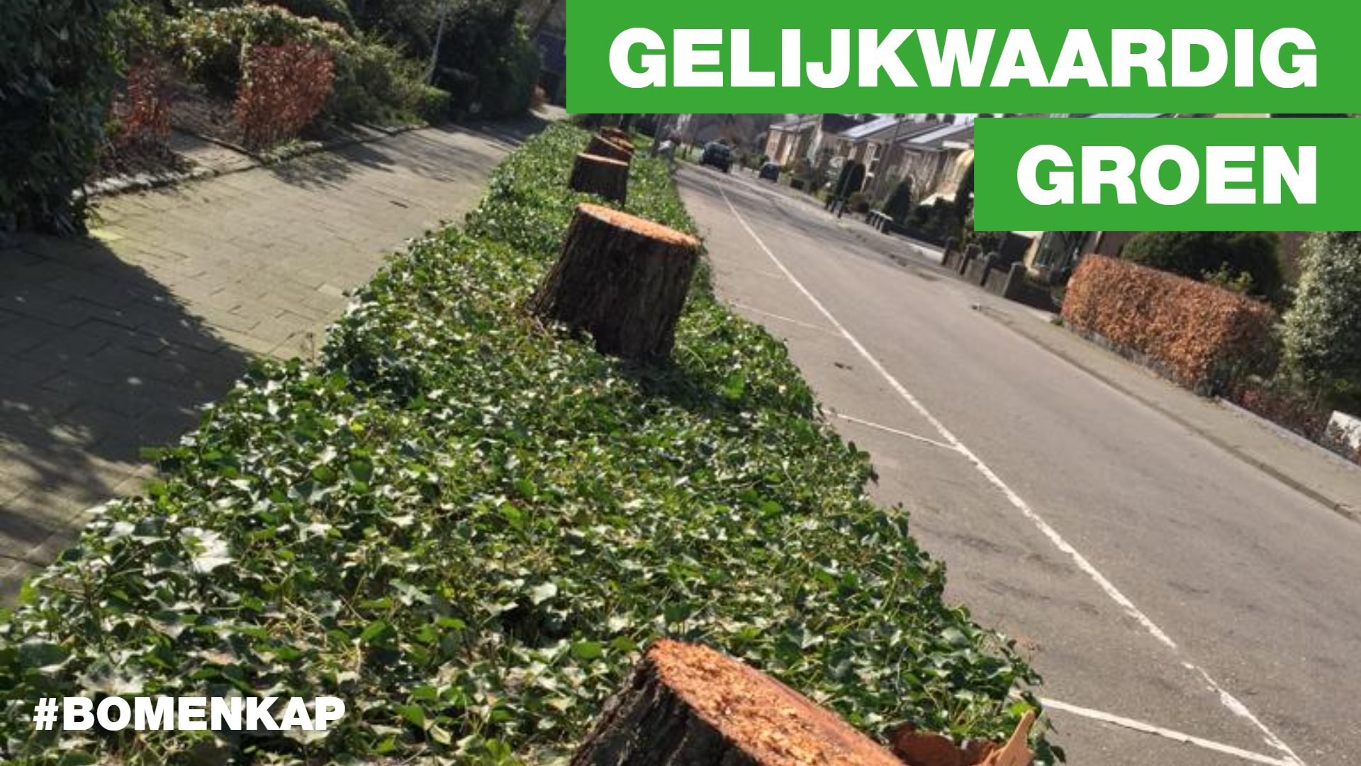 Gelijkwaardig groen